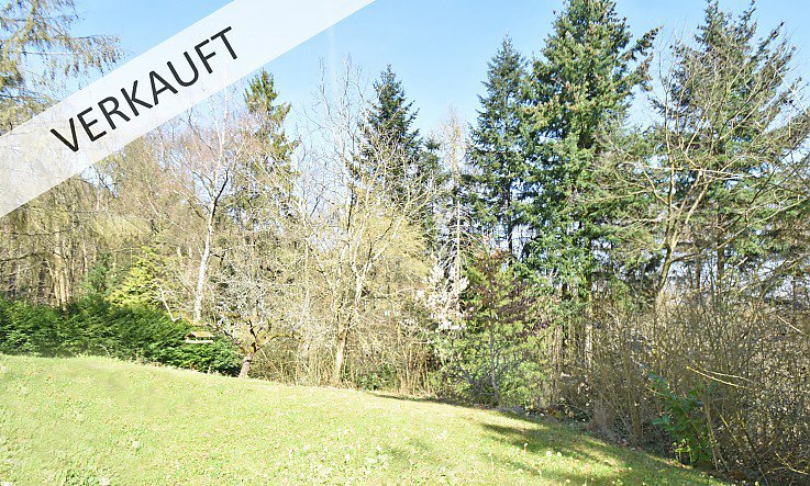 Foto Sonnenverwöhntes Grundstück in Königstein - Mammolshain