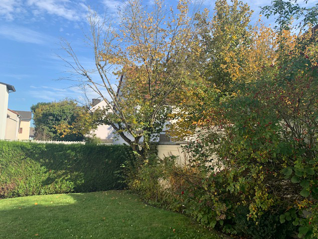 Garten Mehrfamilienhaus Bad Homburg vor der H�he / Kirdorf